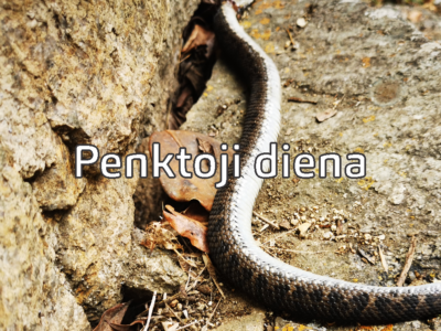 Machu Picchu – Penktoji diena